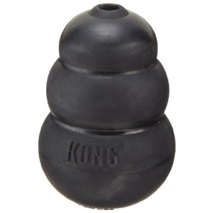 Kong dog toy